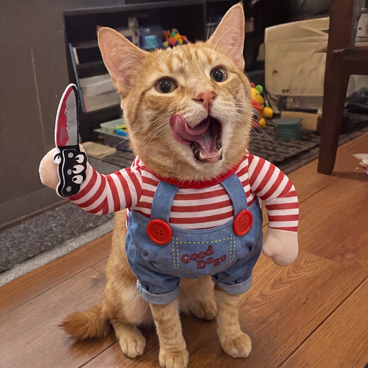 PawTerror™ terrorific suit
